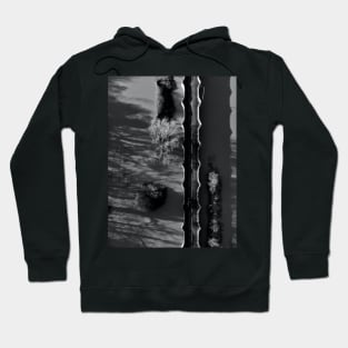 Birds eye view over bridge across flooded plains Hoodie